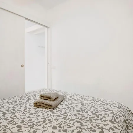 Geranios 304